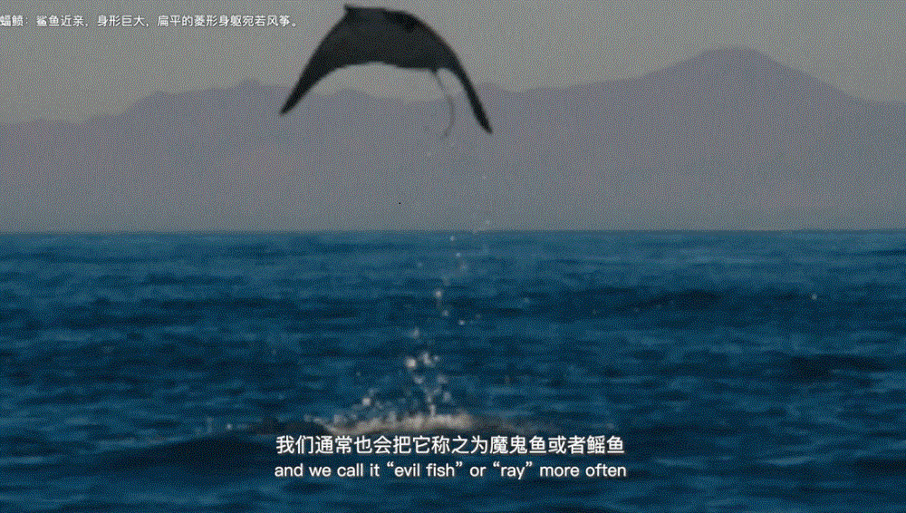 7.gif