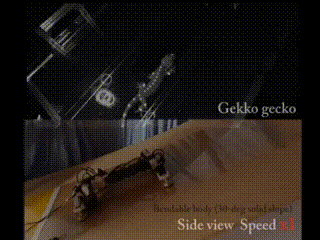 3.gif