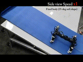 13.gif