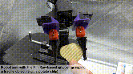 8.gif