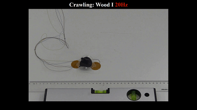 2.gif