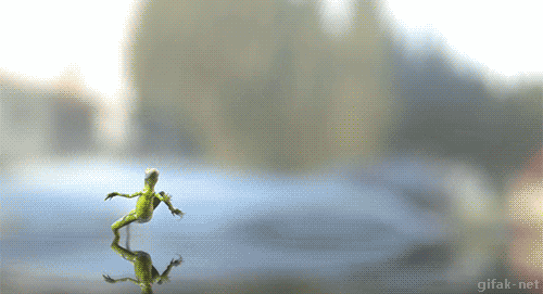 7.gif