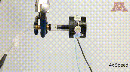 8.gif