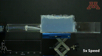 10.gif