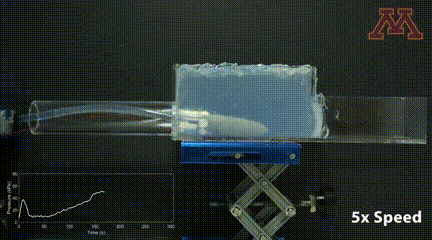 11.gif