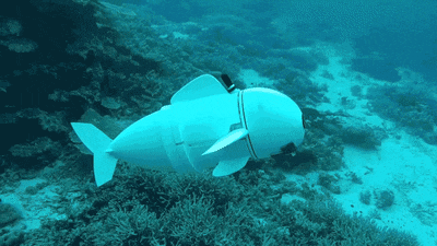 8.gif