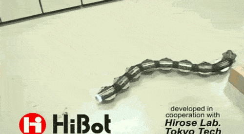 18.gif