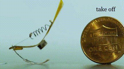 3.gif