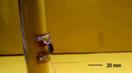 1.gif