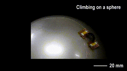 2.gif