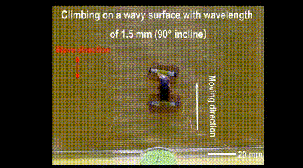 4.gif