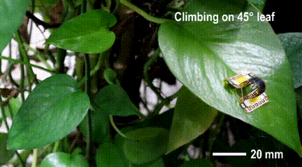 5.gif