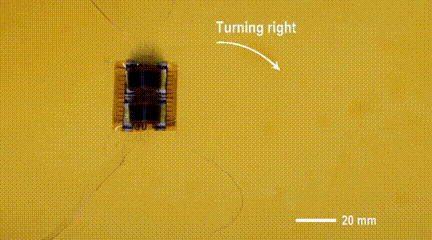 7.gif