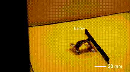 13.gif