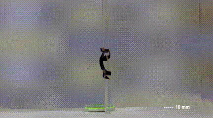 14.gif