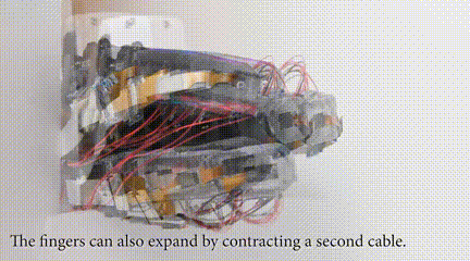 3.gif