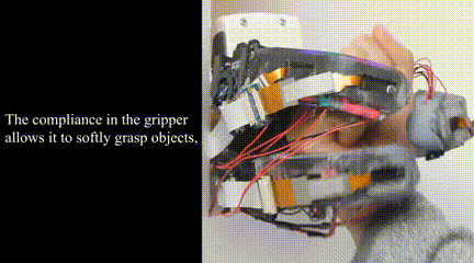 11.gif